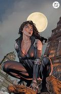 ABSOLUTE CATWOMAN #1 ED BENES 616 COMICS Virgin Variant B LTD 1000